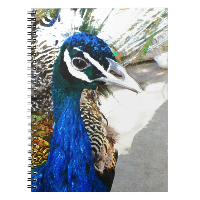 Caderno Espiral Peacock (Frente)