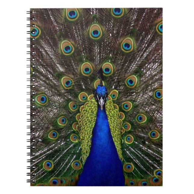 Caderno Espiral Peacock (Frente)