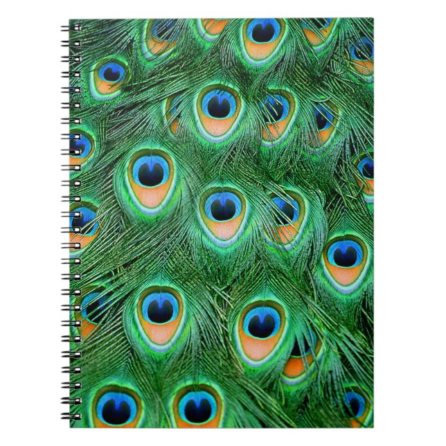 Caderno Espiral Peacock#2-Notebook (Frente)