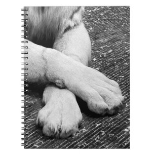 Caderno Espiral Peças