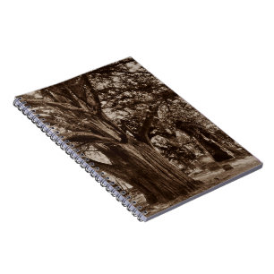 Caderno Espiral Pedras do Yew do cemitério da árvore genealógic