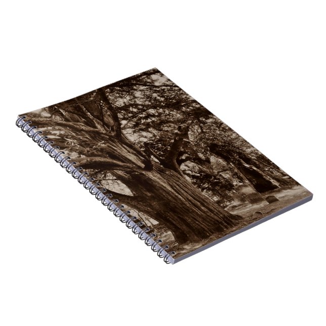 Caderno Espiral Pedras do Yew do cemitério da árvore genealógica (Lado Direito)