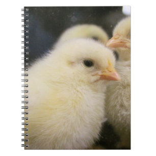 Caderno Espiral Peeps  