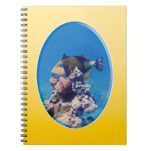 Caderno Espiral Peixe-balão no Topo de Coral - Design Fotográfico
