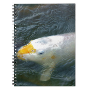 Caderno Espiral Peixe Goldfish No Lago
