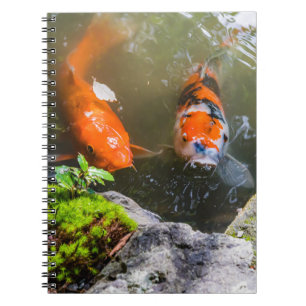Caderno Espiral Peixe Koi numa lagoa