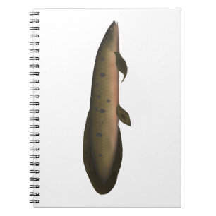 Caderno Espiral Peixe-pulmão australiano