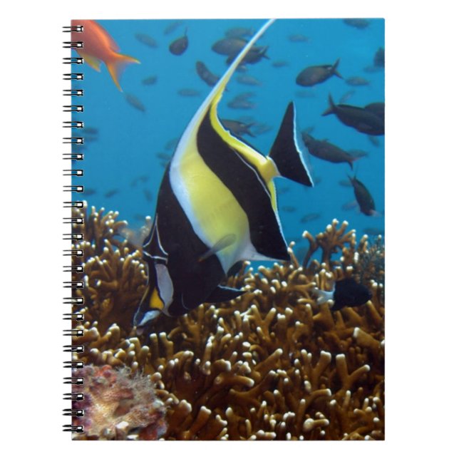 Caderno Espiral Peixe tropical (Frente)