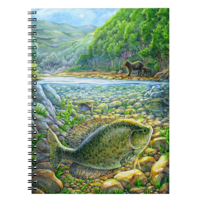 Caderno Espiral Peixes do rio Montanha (Frente)