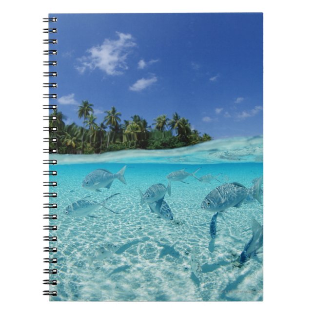 Caderno Espiral Peixes no mar (Frente)
