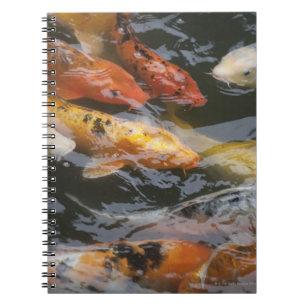 Caderno Espiral Peixes tímidos