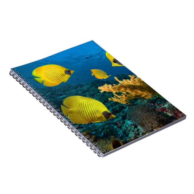 Caderno Espiral Peixes Tropicais de Notebook (Lado Direito)