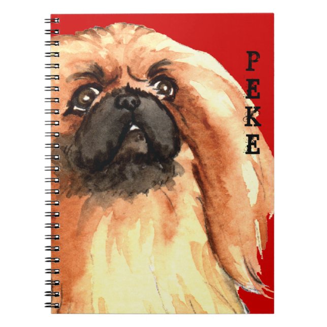 Caderno Espiral Pekingese Color Block (Frente)