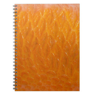 Caderno Espiral Pele de Rockfish