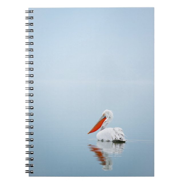 CADERNO ESPIRAL PELICAN EM ÁGUA AZUL (Frente)