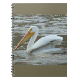 Caderno Espiral Pelicano Branco B14 no Rio Lamacento