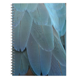 Caderno Espiral Pena Azul