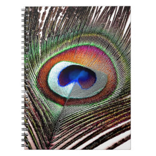 Caderno Espiral Pena Colorida de Peacock de Cobre