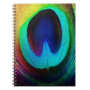 Caderno Espiral Pena de Peacock Vibrante