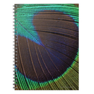 Caderno Espiral Pena do pavão