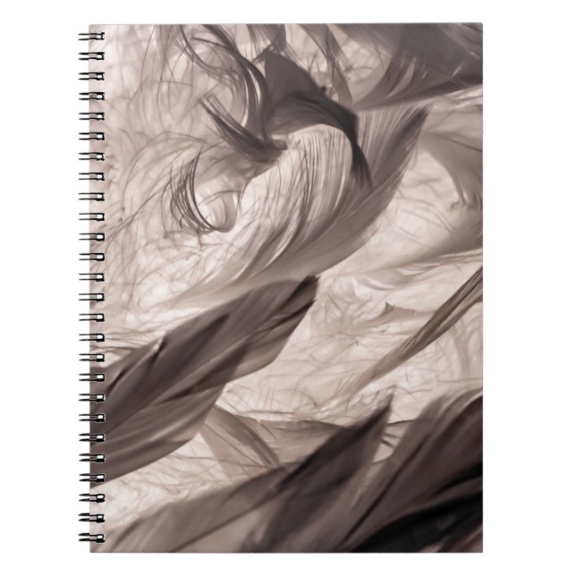Caderno Espiral Penas (Frente)