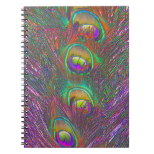 Caderno Espiral Penas de Natal Tinsel Peacock
