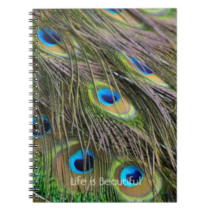 Caderno Espiral Penas de Pavão Ave Kauai (minha fotografia)