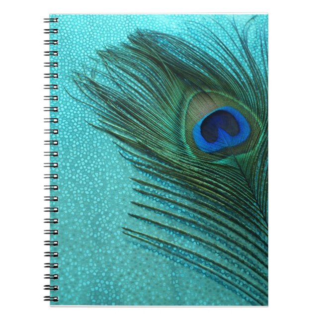 Caderno Espiral Penas de Pavão Azul Aqua Metálico (Frente)