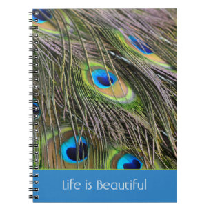 Caderno Espiral Penas de Pavão Pássaro Kauai (minha fotografia)