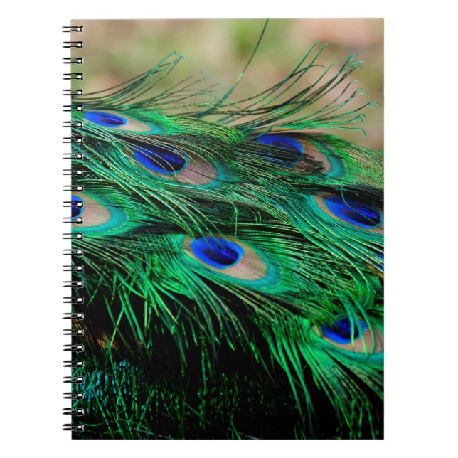 Caderno Espiral Penas de paz (Frente)