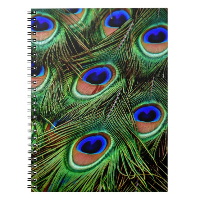 Caderno Espiral Penas de Peacock (Frente)