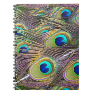 Caderno Espiral Penas de Peacock
