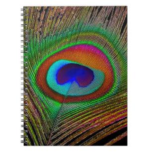 Caderno Espiral Penas de Peacock de Cobre Vibrantes