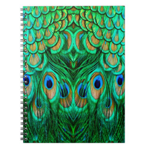 Caderno Espiral Penas de Peacock Gloriosas