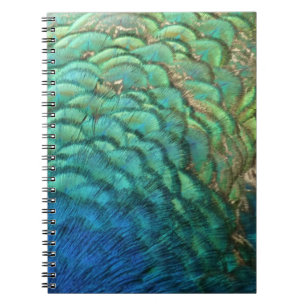 Caderno Espiral Penas de Peacock I Abstrato