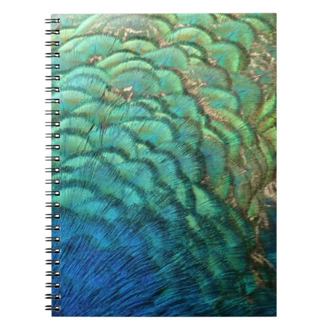 Caderno Espiral Penas de Peacock I Abstrato (Frente)