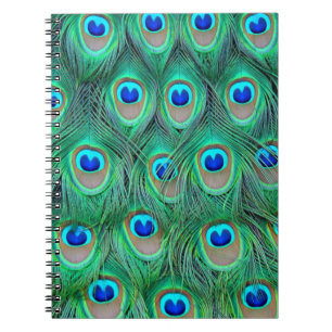 Caderno Espiral Penas de Peacock Vibrantes