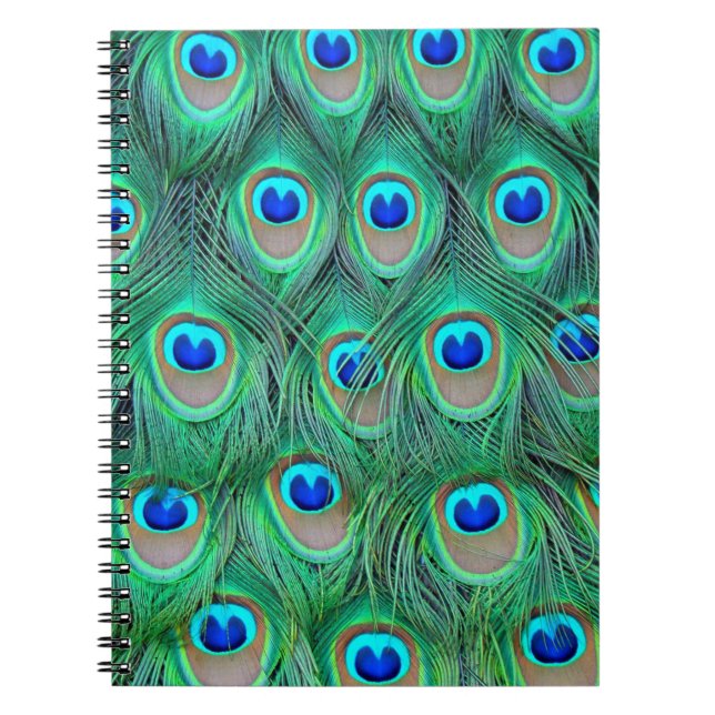 Caderno Espiral Penas de Peacock Vibrantes (Frente)