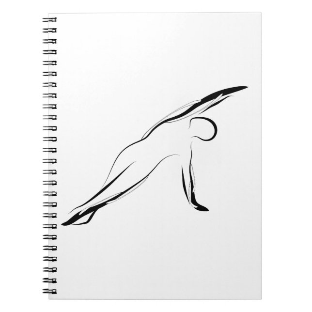 Caderno Espiral Penas de pilates (Frente)