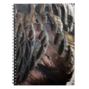 Caderno Espiral Penas Selvagens Turcas I Abstrato Nature Design