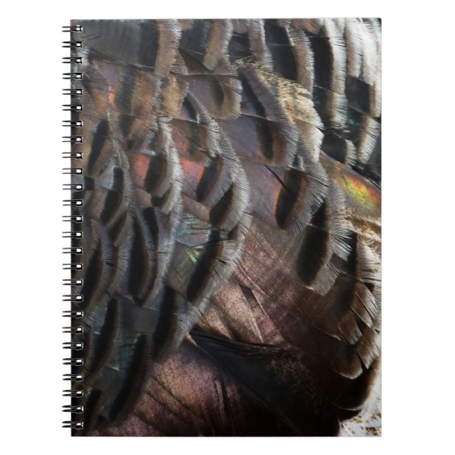 Caderno Espiral Penas Selvagens Turcas I Abstrato Nature Design (Frente)