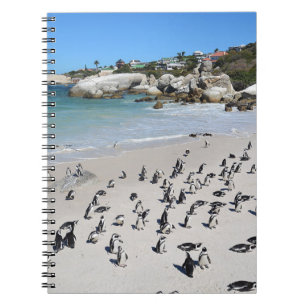 Caderno Espiral Penguins Boulders Beach   África do Sul