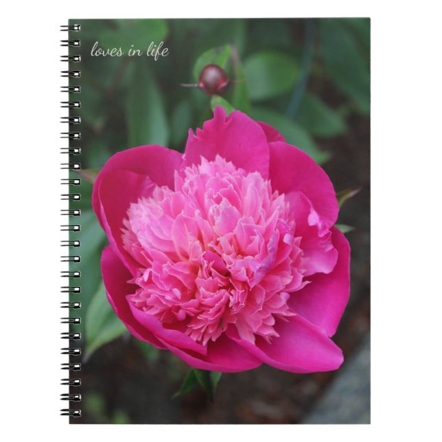 Caderno Espiral Penitência Rosa e Bebê (Frente)