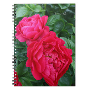 Caderno Espiral Penônio Rosa Vermelho