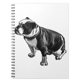 Caderno Espiral Pensamentos Podem Descansar