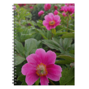 Caderno Espiral Peônias cor-de-rosa solteiro