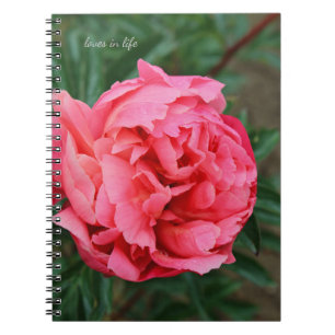 Caderno Espiral Peony Rosa cheio