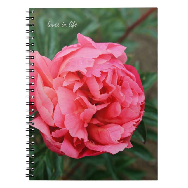 Caderno Espiral Peony Rosa cheio (Frente)