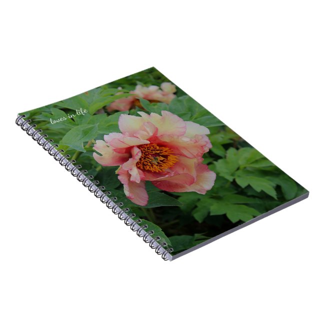 Caderno Espiral Peony Rosa Elegante (Lado Direito)