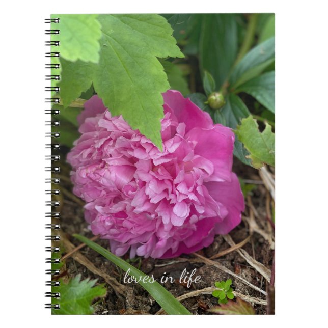 Caderno Espiral Peony Rosa em Descanso (Frente)